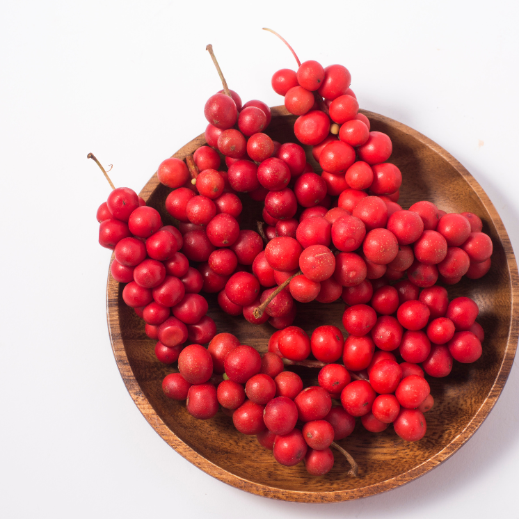 adaptogenic herb chisandra berry for stress relief